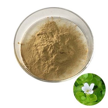 Bacopa extract