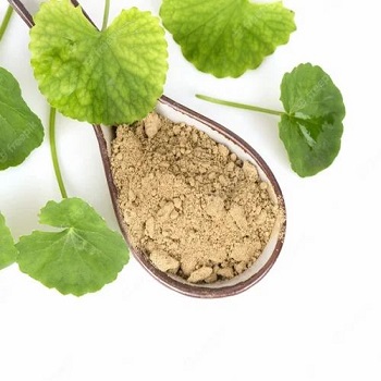 Gotu Kola Extract