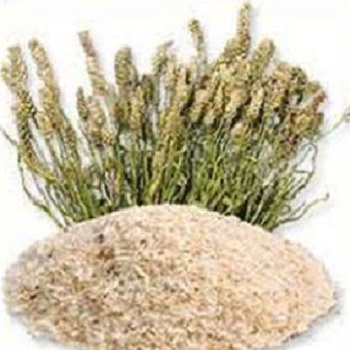 Psyllium husk powder